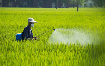 用于水生生态系统和地下水风险评估的top-rice模型